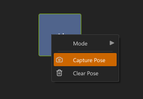 Capture pose
